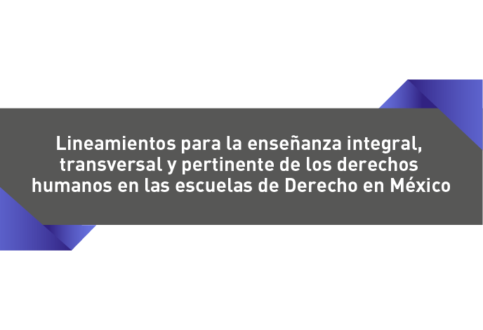Lineamientos para la enseñanza integral, transversal y pertinente de los derechos humanos en las escuelas de Derecho en México